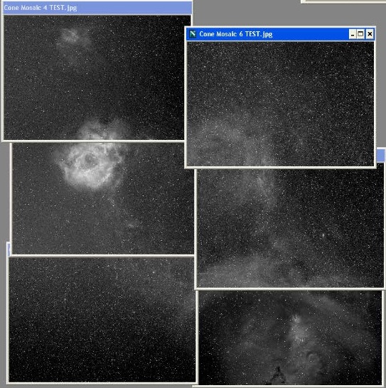 Cone Mosaic TEST